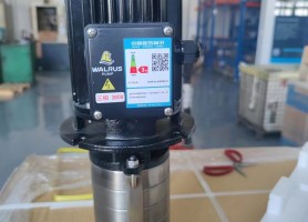 Motor bơm nước WALRUS TPHK4T6-6