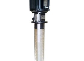 Motor bơm nước WALRUS TPCK2T26-26