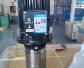 Motor bơm nước WALRUS TPHK4T6-6